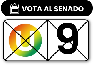 Vota al senado 9